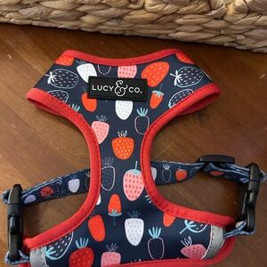 Lucy & Co. Strawberry Reversible Dog Harness - Red and Navy
